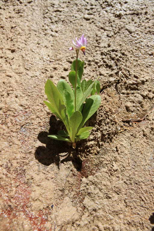 USA - der Westen 2013